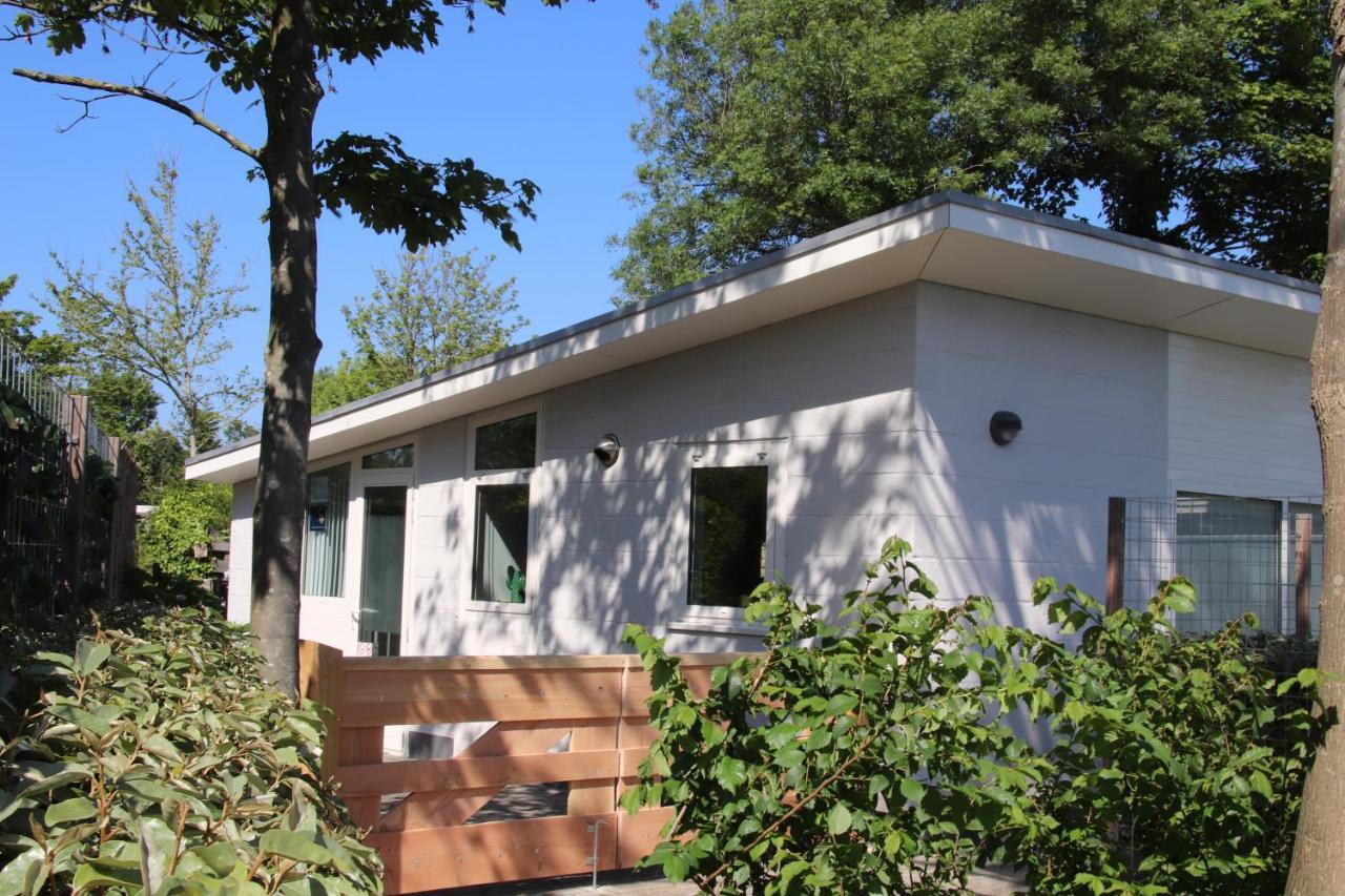 Banjaard Beachhouse Patrijzenlaan 14 캄퍼란트 외부 사진